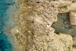 Bas Uijlings fotografie - 028