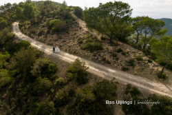 Bas Uijlings fotografie - 059